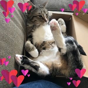 Meet your Posher, Gail